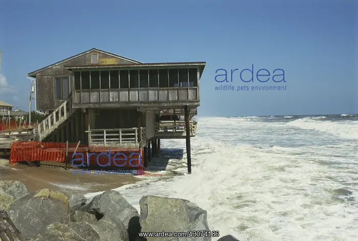 : Beach House Threatened by Rising Sea Levels : Beach House Threatened by Rising Sea Levels