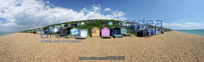 : Beach huts on the beach of Milford on Sea, Hampshire : Beach huts on the beach of Milford on Sea, Hampshire