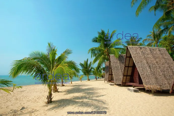 : Beach huts on Lamai Beach, Ko Samui island, Thailand : Beach huts on Lamai Beach, Ko Samui island, Thailand