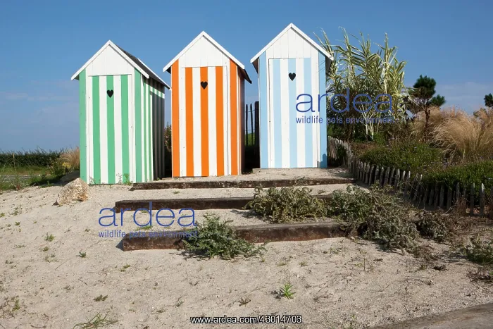 : Beach Huts on a traffic roundabout : Beach Huts on a traffic roundabout