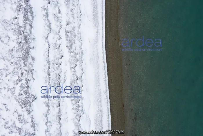 : Beach Iceland : Beach Iceland