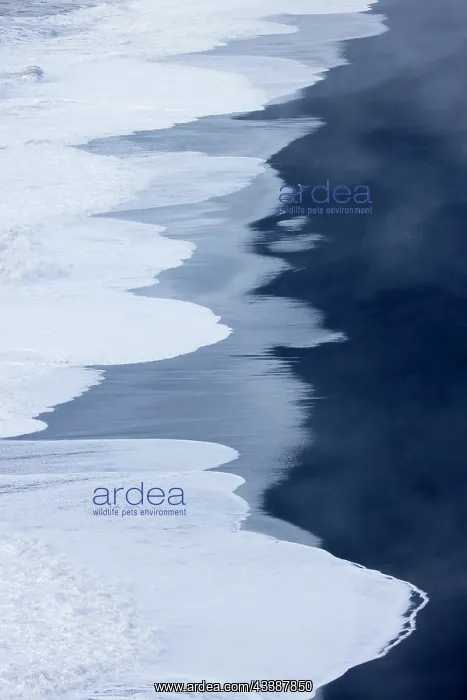 : Beach Iceland : Beach Iceland