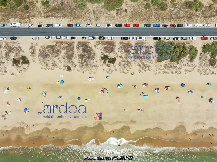 : Beach life at the Atlantic Ocean near Punta Umbria : Beach life at the Atlantic Ocean near Punta Umbria