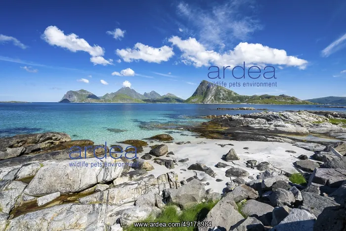 : Beach at Myrland, coast and mountains : Beach at Myrland, coast and mountains