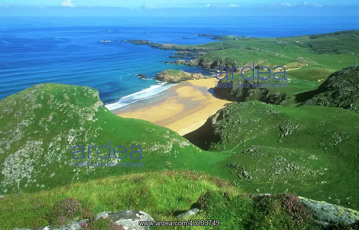 : Beach near Melmore Head on the northern coast of : Beach near Melmore Head on the northern coast of