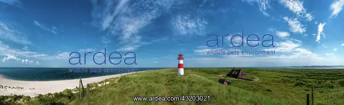 : Beach panorama at the elbow with lighthouse, Sylt : Beach panorama at the elbow with lighthouse, Sylt