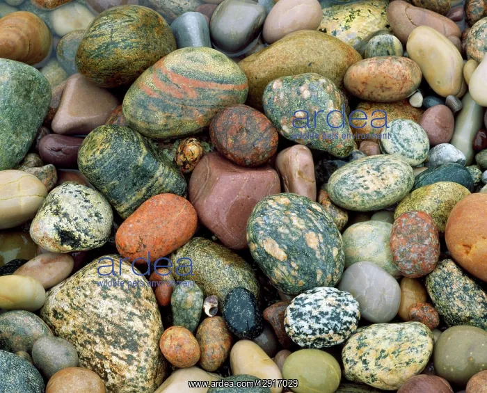 : Beach Pebbles - tumbled by the sea : Beach Pebbles - tumbled by the sea