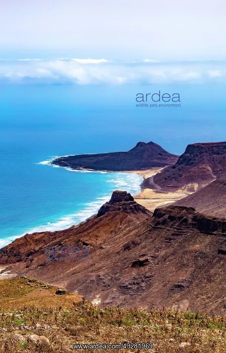 : Beach Praia Grande between volcanic mountains, island : Beach Praia Grande between volcanic mountains, island