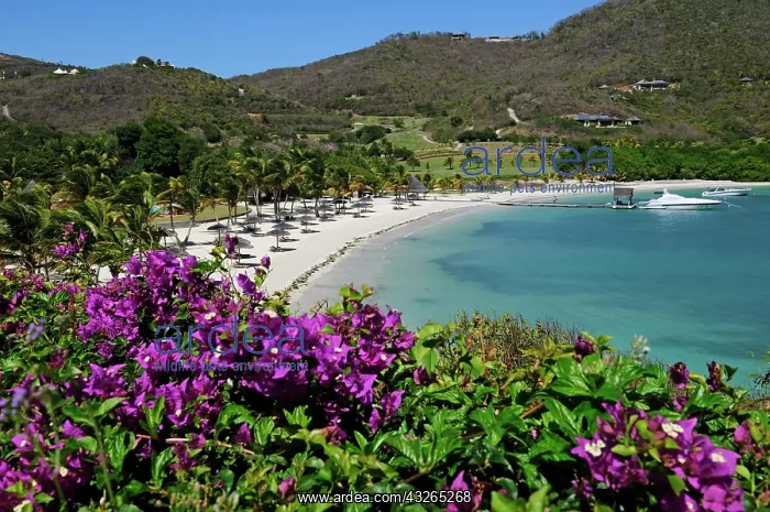 : Beach, Raffles Resort, Canouan Island, Saint Vincent : Beach, Raffles Resort, Canouan Island, Saint Vincent