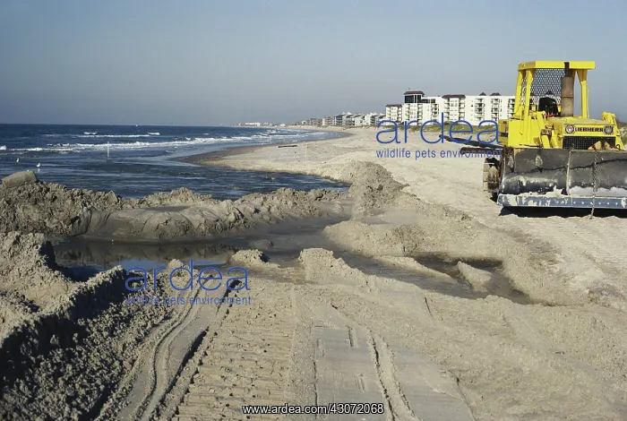 : Beach Renourishment : Beach Renourishment