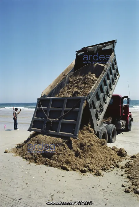 : Beach Renourishment : Beach Renourishment