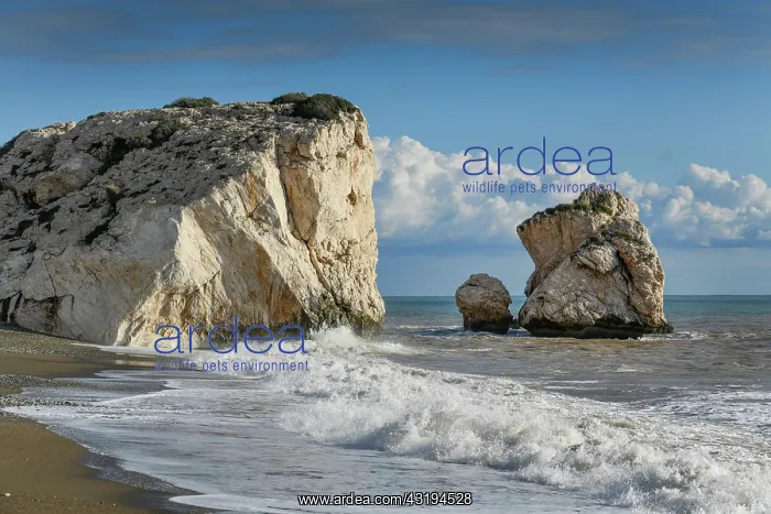 : Beach, Rock of Aphrodite, Petra tou Romiou, Cyprus : Beach, Rock of Aphrodite, Petra tou Romiou, Cyprus