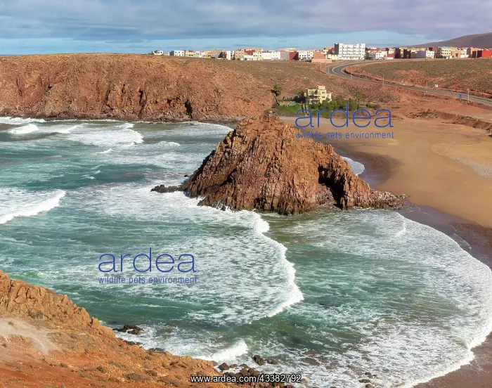  : Beach rocky outrcop coastline in bay, Plage Sidi