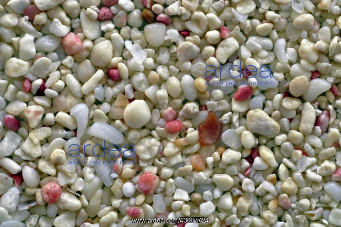  : Beach Sand