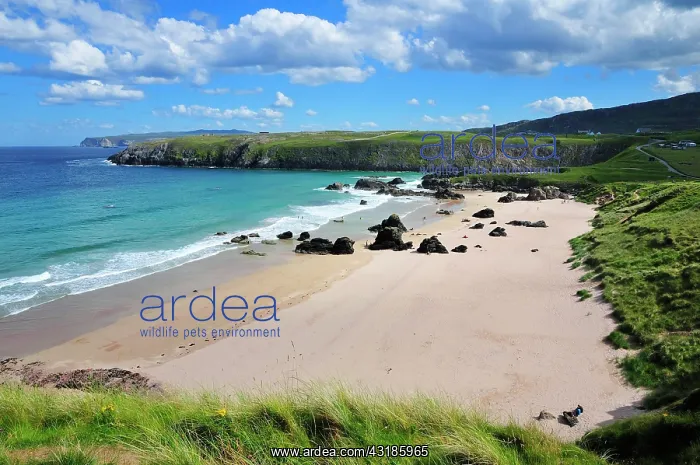 : Beach of Sango Bay, Durness, Caithness, Sutherland : Beach of Sango Bay, Durness, Caithness, Sutherland