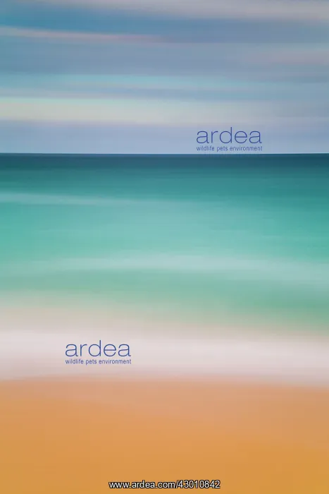 : Beach Scene : Beach Scene