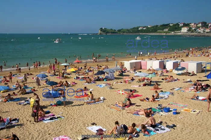 : Beach scene in the bay at Saint-Jean-de-Luz : Beach scene in the bay at Saint-Jean-de-Luz