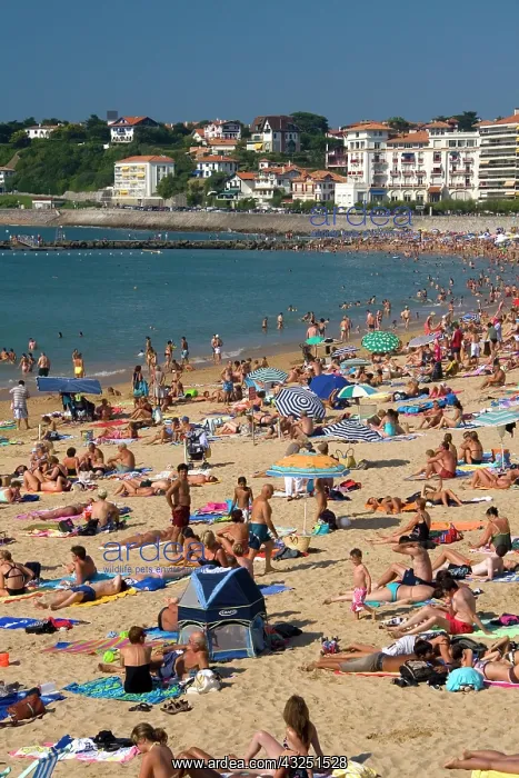 : Beach scene in the bay at Saint-Jean-de-Luz : Beach scene in the bay at Saint-Jean-de-Luz