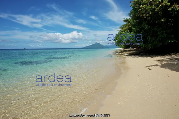  : Beach scene - Island of Ai - view toward Api
