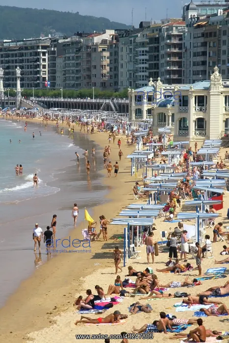  : Beach scene at La Concha Bay in the city