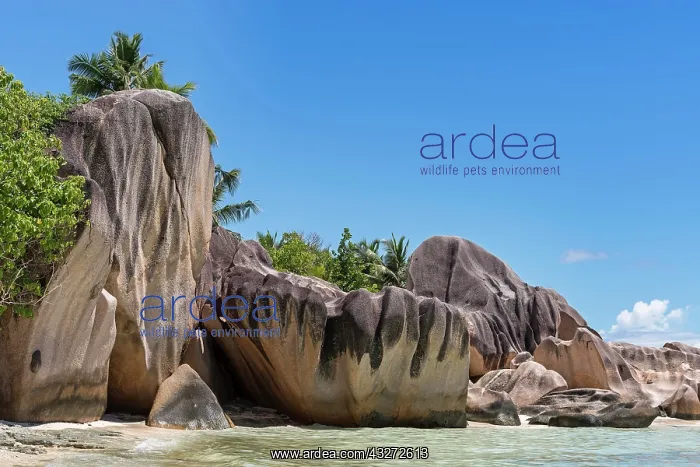  : Beach Source d Argent with granite rocks, La Digue
