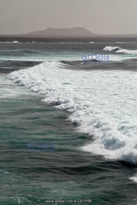 : Beach with surf at Playa de Janubio - with Montana : Beach with surf at Playa de Janubio - with Montana