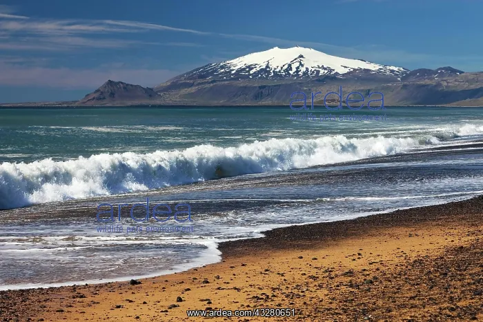 : Beach with surf, behind snow covered volcano and : Beach with surf, behind snow covered volcano and