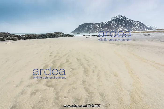 : Beach at Utakleiv, Norway, Nordland, Flakstad, Lofoten : Beach at Utakleiv, Norway, Nordland, Flakstad, Lofoten