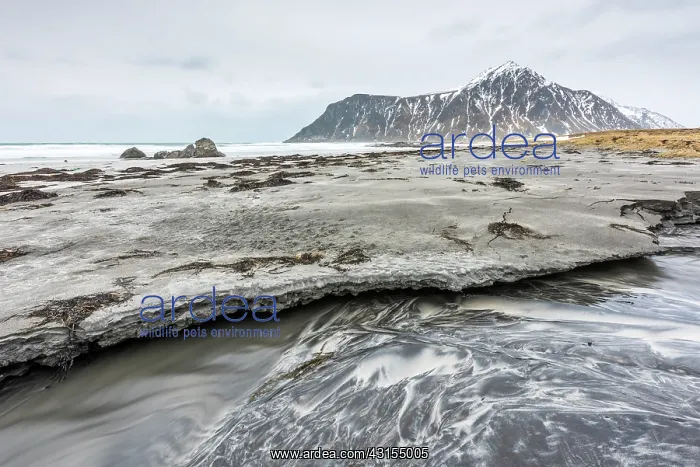: Beach at Utakleiv, Norway, Nordland, Flakstad, Lofoten : Beach at Utakleiv, Norway, Nordland, Flakstad, Lofoten