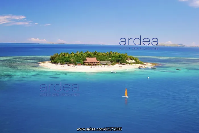 : Beachcomber Island, Fiji. An ariel view : Beachcomber Island, Fiji. An ariel view