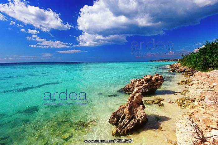 : Beaches, Barahona, Dominican Republic, Caribbean : Beaches, Barahona, Dominican Republic, Caribbean