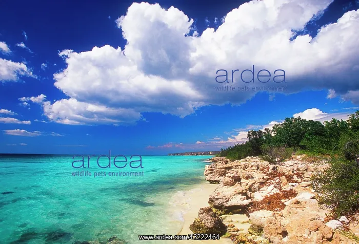: Beaches, Barahona, Dominican Republic, Caribbean : Beaches, Barahona, Dominican Republic, Caribbean