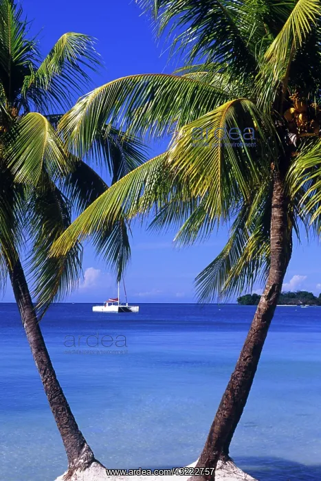 : Beaches at Negril, Jamaica : Beaches at Negril, Jamaica
