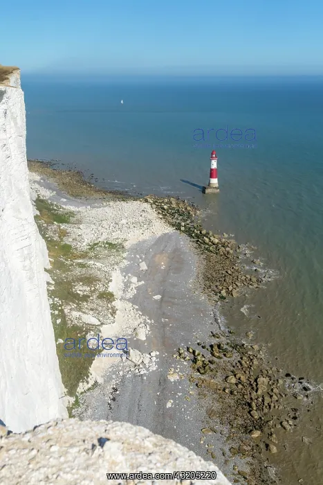 : BEACHEY HEAD, SUSSEX / UK - JULY 23 : View of the : BEACHEY HEAD, SUSSEX / UK - JULY 23 : View of the