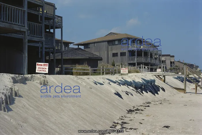 : Beachfront Houses Threatened by Erosion : Beachfront Houses Threatened by Erosion
