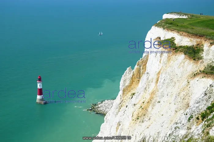 : Beachy Head Lighthouse, East Sussex, England, Great : Beachy Head Lighthouse, East Sussex, England, Great