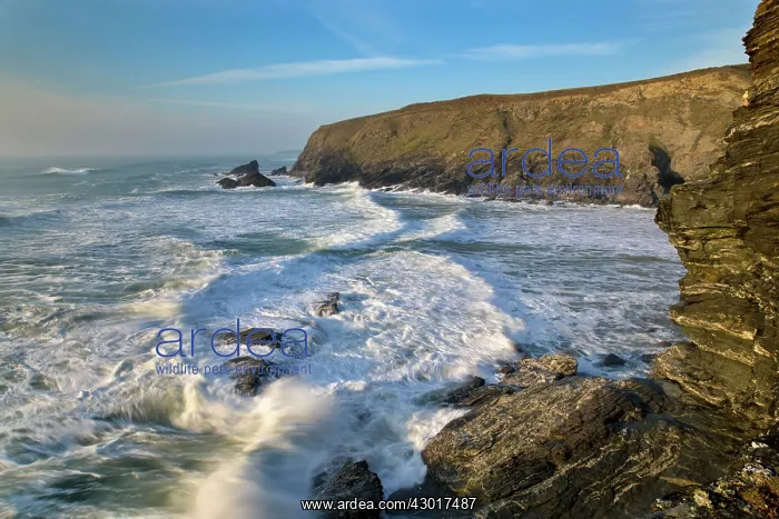  : Beacon Cove