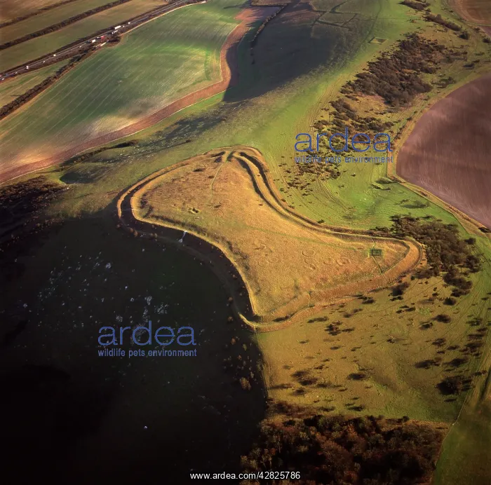  : Beacon Hill, an Iron Age hill fort, Burghclere, Hampshire
