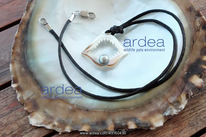 : The beads called Tahitian black pearls is an AOC : The beads called Tahitian black pearls is an AOC