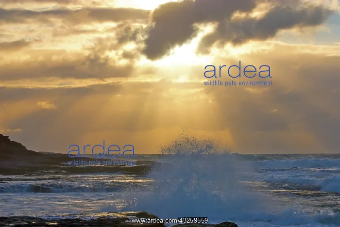 : Beams of sunlight breaking through the clouds : Beams of sunlight breaking through the clouds