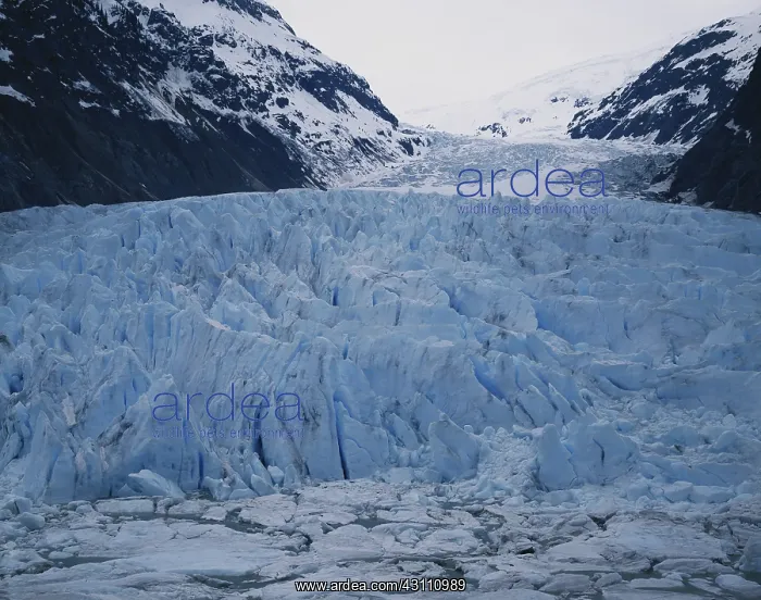 : Bear Glacier, Canada : Bear Glacier, Canada