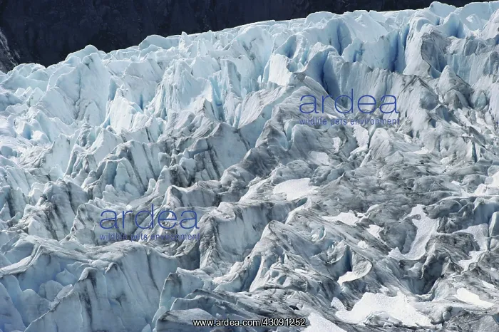 : Bear Glacier Crevasses : Bear Glacier Crevasses
