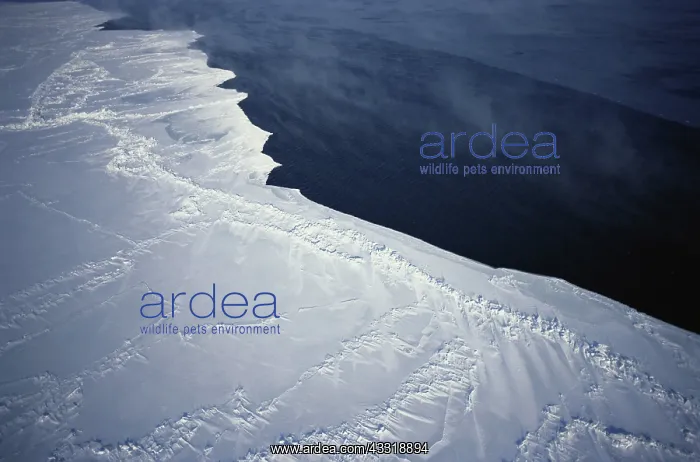 : Beaufort Sea Pack Ice : Beaufort Sea Pack Ice