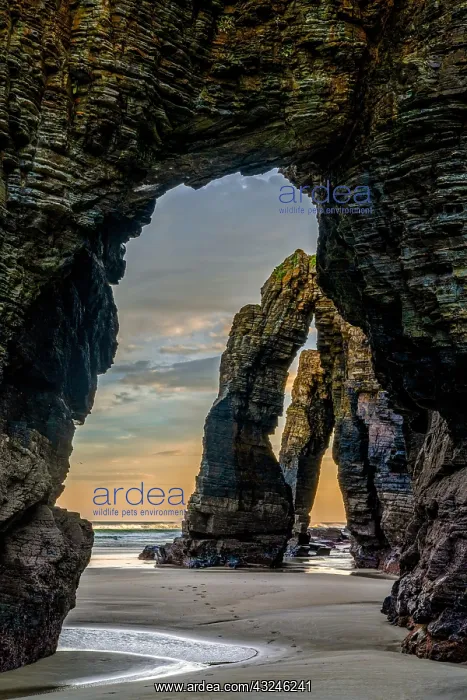 : beautful sunrise at the Playa de las Catedrales : beautful sunrise at the Playa de las Catedrales