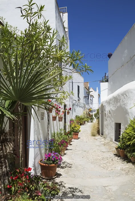 : Beautiful alleyway with flowerpots and brillianty : Beautiful alleyway with flowerpots and brillianty