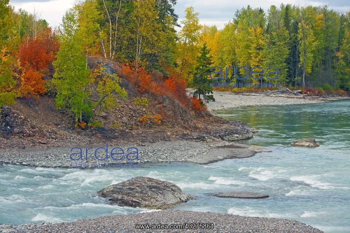 : Beautiful Autumn River Scenery at the confluence : Beautiful Autumn River Scenery at the confluence