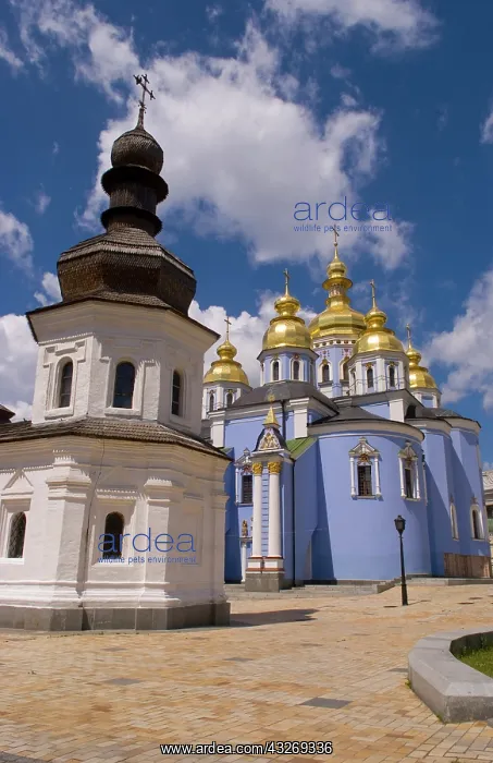 : Beautiful blue gold domed church called : Beautiful blue gold domed church called