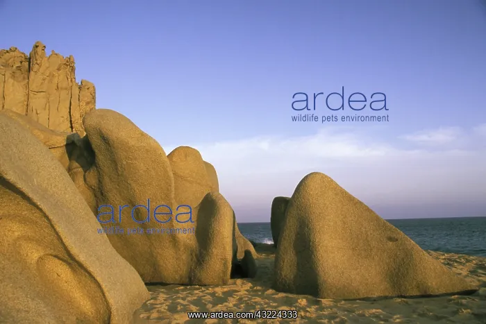 : Beautiful boulders of Playa Solmar, Cabo : Beautiful boulders of Playa Solmar, Cabo