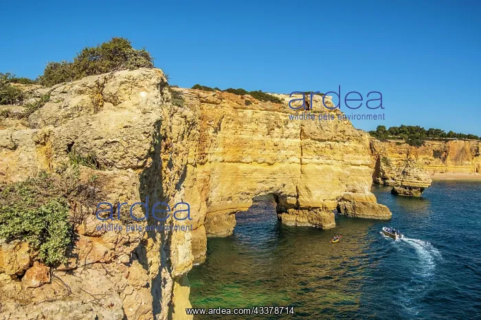 : Beautiful cliffs and rock formations by the Atlantic : Beautiful cliffs and rock formations by the Atlantic
