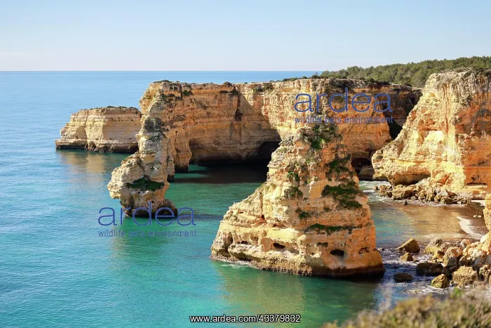 : Beautiful cliffs and rock formations by the Atlantic : Beautiful cliffs and rock formations by the Atlantic